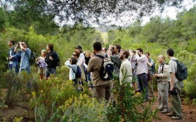 Actividades durante todo el mes en el PN del mes: la Serra Calderona