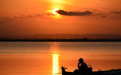 La III Fira de l'Albufera te espera este año en el Palmar