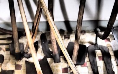 Olimpiadas agrícolas en Losa del Obispo