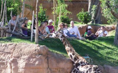 Bioparc de Valencia, una visita ideal con niños