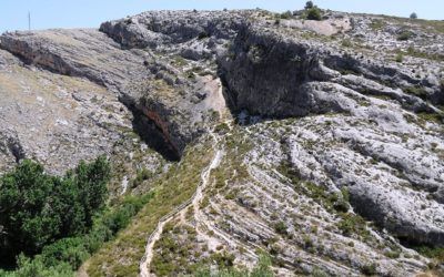 El Barranc dels Tarongers y su riqueza natural