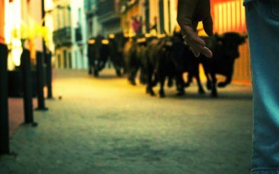 Bous al Carrer, tradición valenciana por excelencia