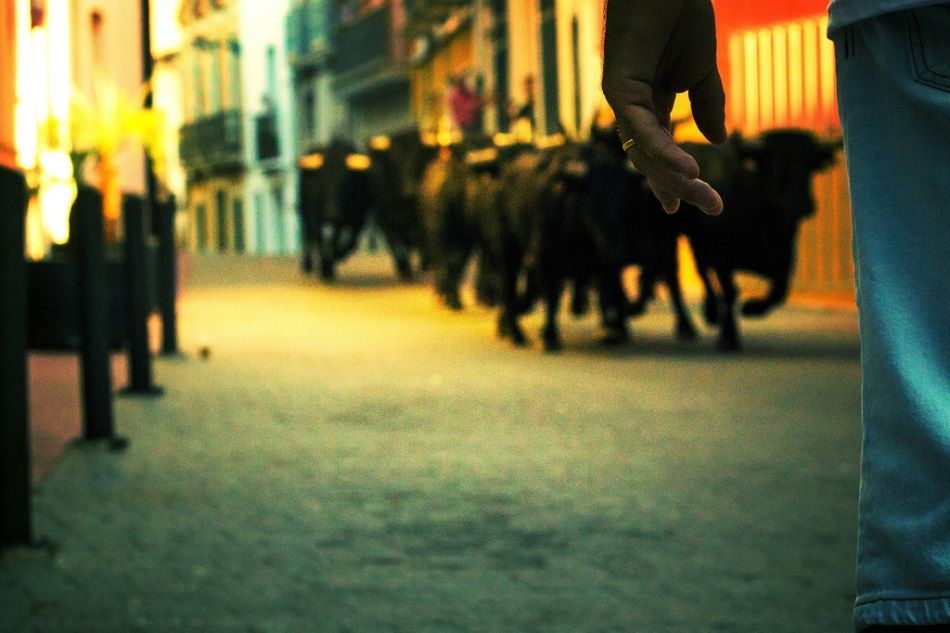 Bous al Carrer, tradición valenciana por excelencia