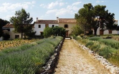 Ruta de los Caseríos en Enguera