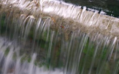 Visita el Toll Blau y conoce el nacimiento del Vinalopó