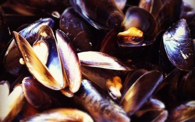 Clóchinas: un manjar 100% autóctono