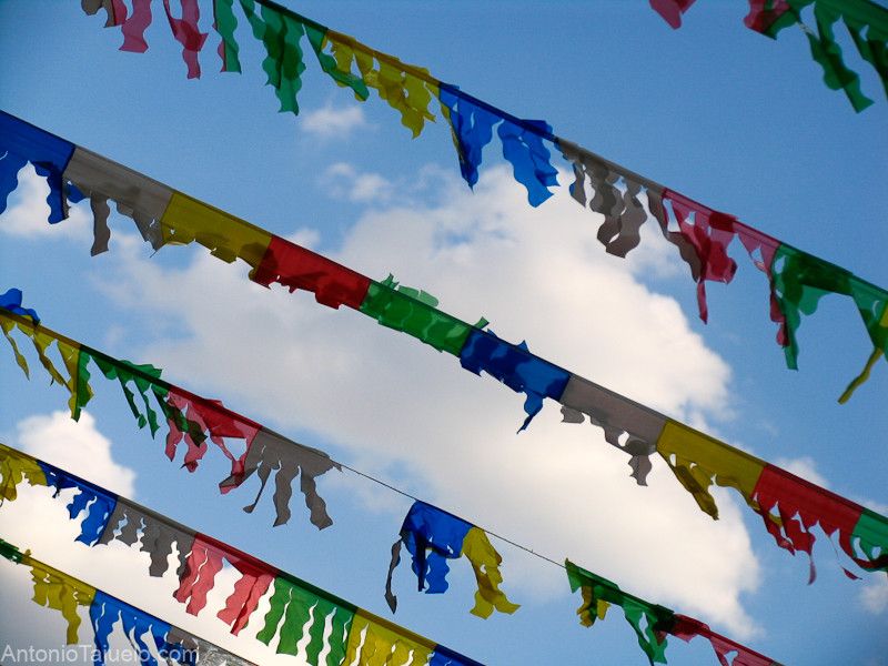 Vive las fiestas de verano de Siete Aguas