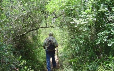 Escapada natural al Parque de la Murta y la Casella