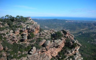 Visita el Parque Natural de la Sierra Calderona