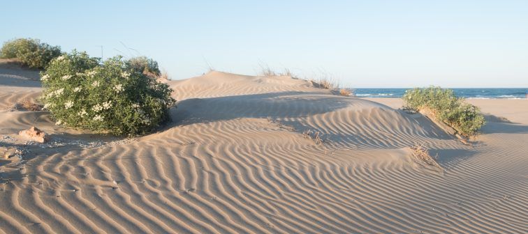 Playa Escollera