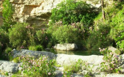 Fuentes medicinales en Chera