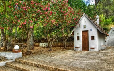Ruta de la Naranja en Carcaixent