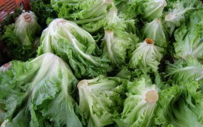 Festa de l’Encisam en Alberic