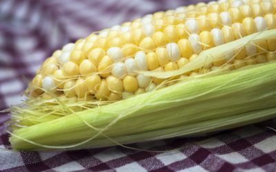 Coques a la Calfó, entrante tradicional de La Safor