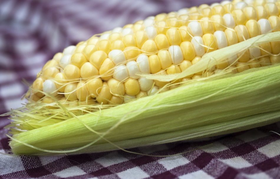 Coques a la Calfó, entrante tradicional de La Safor