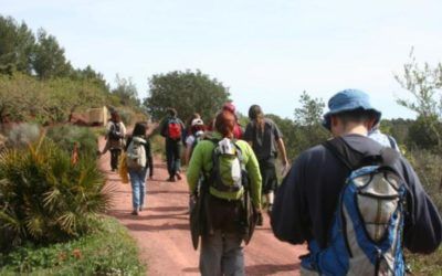 Marcha Solidaria contra el Cáncer – Serra Calderona
