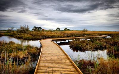 La Marjal del Moro, bello paraje natural entre Puzol y Sagunto