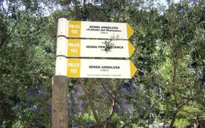 Mitja Marató per Muntanya i Marxa Senderista L’Aventaor de Genovés