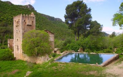 Monasterio de La Murta