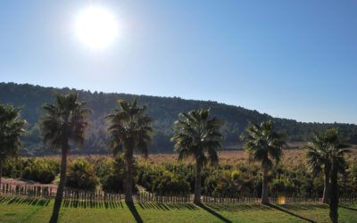 Apúntate a la desconexión del turismo de naturaleza