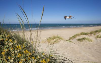 Playas y calas para desconectar del mundo
