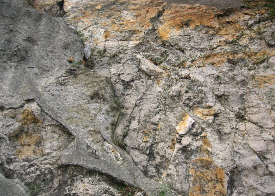 Excursión a la Cova Negra