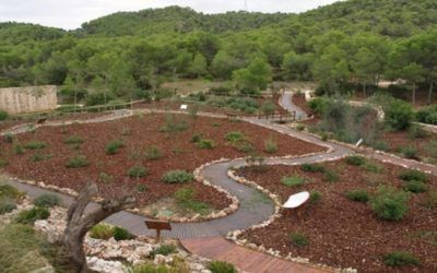 Practica senderismo por el parque de Les Rodanes-Vilamarxant
