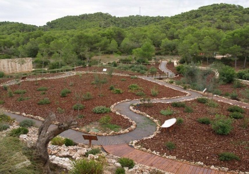 Practica senderismo por el parque de Les Rodanes-Vilamarxant