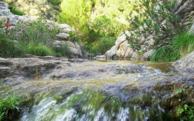 Parque Natural de Chera-Sot de Chera, primer parque geológico