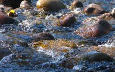 Ruta fluvial por los cañones del Júcar