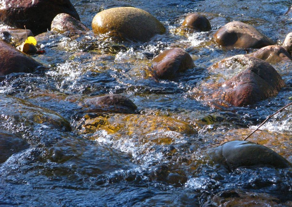 Ruta fluvial por los cañones del Júcar