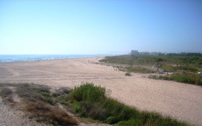 Les dunes de l'Ahuir en Gandia