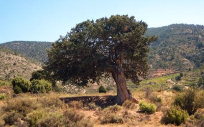Senderismo por el Alto de las Barracas
