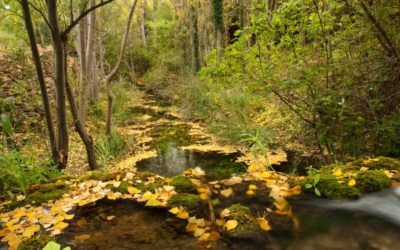 Rincón de Ademuz, pulmón verde de la Comunidad Valenciana