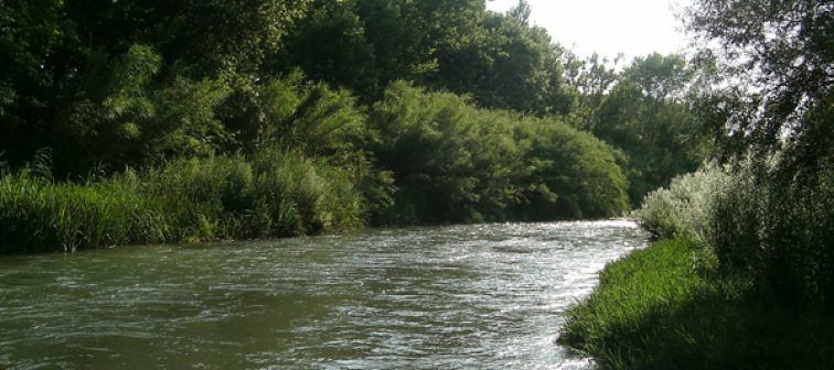 Parque Natural del Río Turia