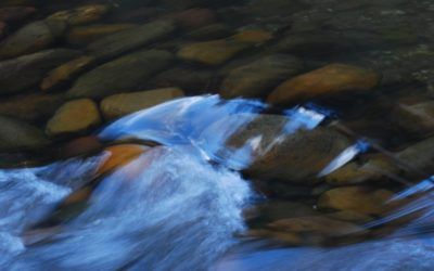 Trekking acuático por el río Clariano