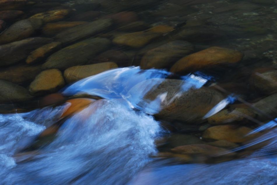 Trekking acuático por el río Clariano