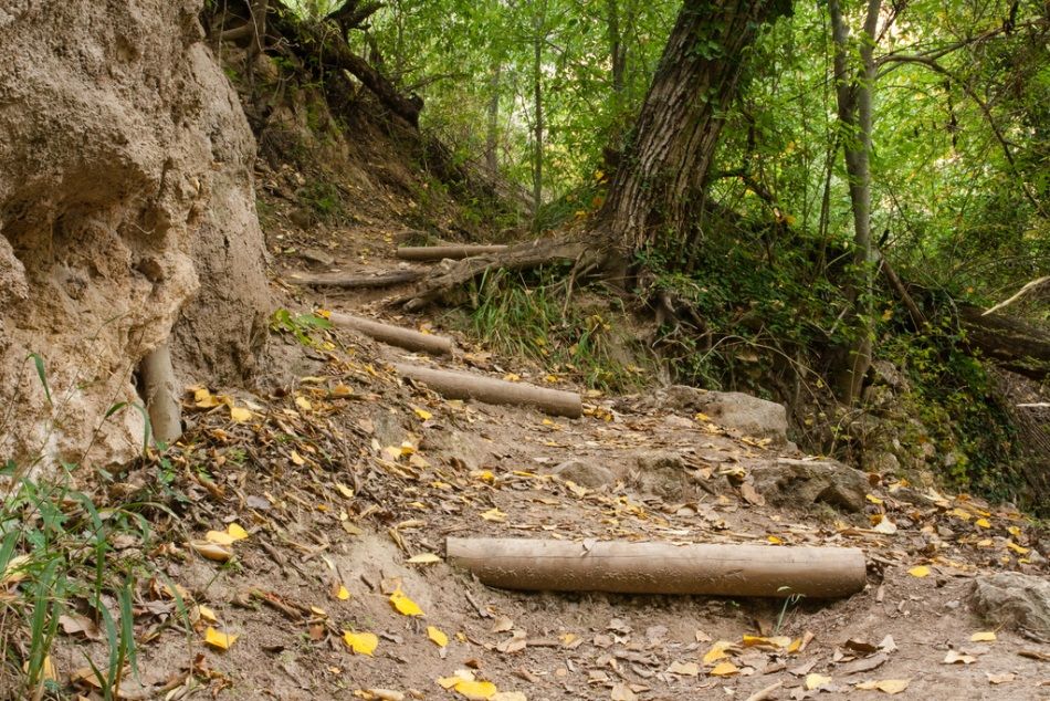 Senderos de Pequeño Recorrido por el Rincón de Ademuz