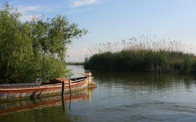 Tras los pasos de Blasco Ibáñez
