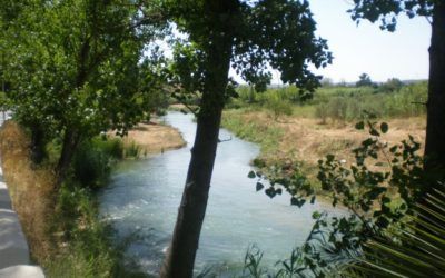 Rutas interpretativas en Pedralba