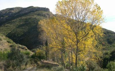 Recorre la Sierra de Chiva con sus rutas más destacadas