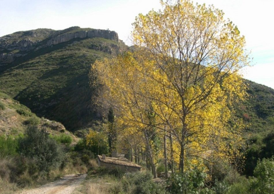 Recorre la Sierra de Chiva con sus rutas más destacadas