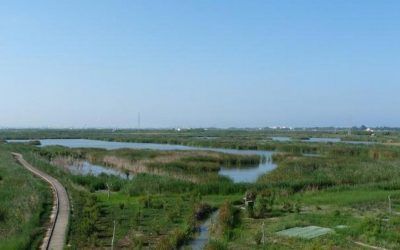 Descubre la reserva natural del Tancat de la Pipa