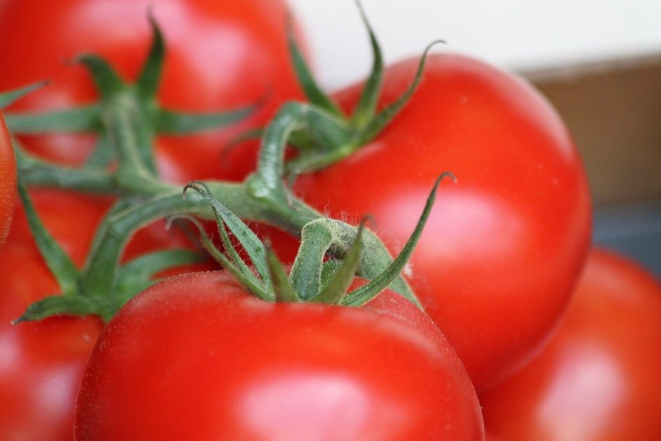 Tomates rellenos, plato tradicional valenciano de la Hoya de Buñol