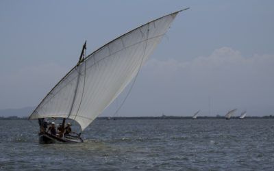 Qué es la vela latina y dónde se practica
