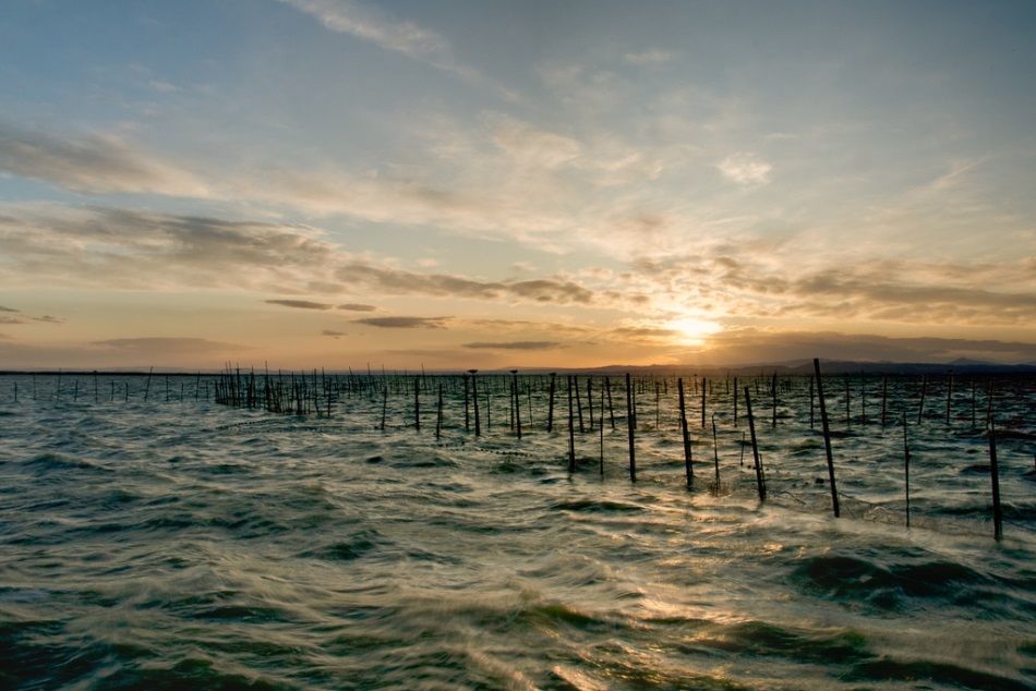 Un parador en El Saler con vistas a la Albufera
