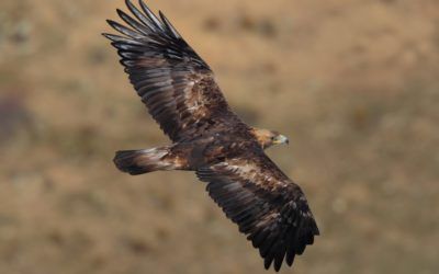 Paraje Natural Municipal de Fuente Bellido