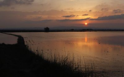 Principales lagos y lagunas de la provincia