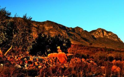 La senda dels nevaters de Salem, en Benicadell