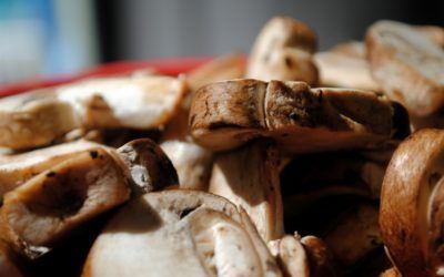 VIII Feria Comercial y Gastronómica en La Pobla del Duc